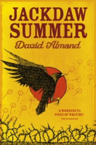 Könyv Jackdaw Summer David Almond