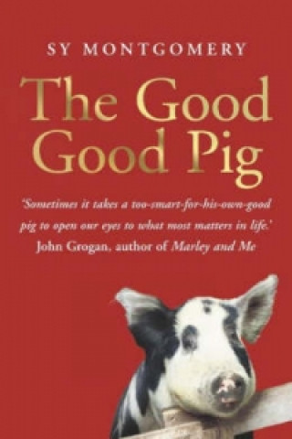 Könyv Good Good Pig Sy Montgomery