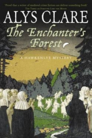 Książka Enchanter's Forest Alys Clare