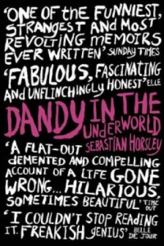 Knjiga Dandy in the Underworld Sebastian Horsley