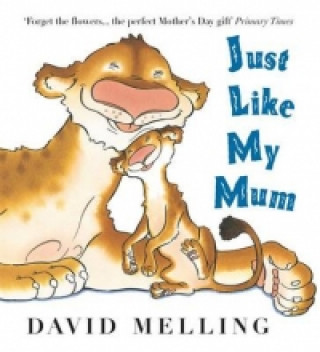 Könyv Just Like My Mum David Melling