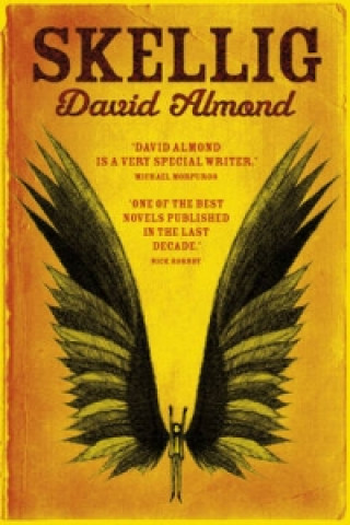 Kniha Skellig David Almond