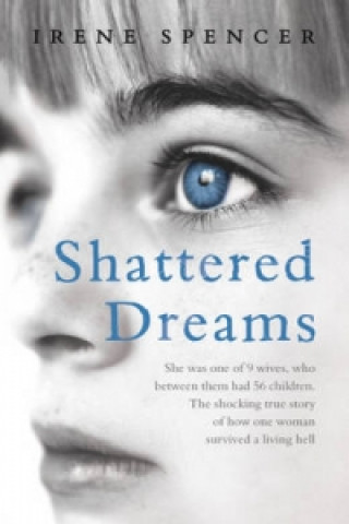 Kniha Shattered Dreams Irene Spencer