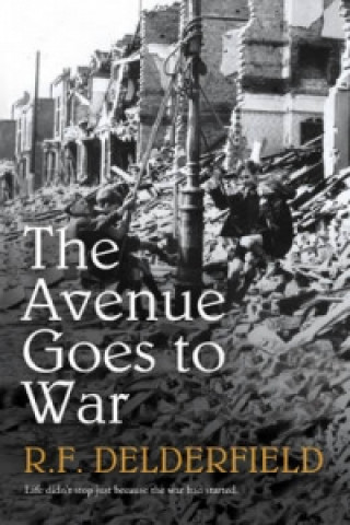 Könyv Avenue Goes to War R Delderfield