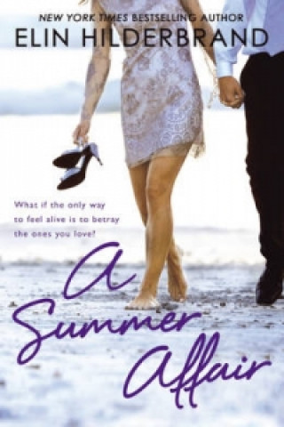 Könyv Summer Affair Elin Hilderbrand