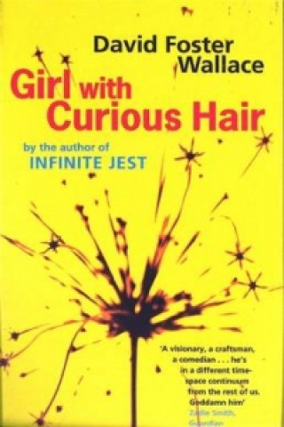 Книга Girl With Curious Hair David Foster Wallace