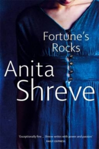 Kniha Fortune's Rocks Anita Shreve