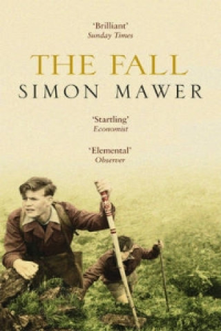 Kniha Fall Simon Mawer