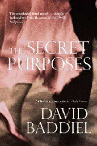 Könyv Secret Purposes David Baddiel