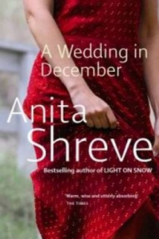 Könyv Wedding in December Anita Shreve
