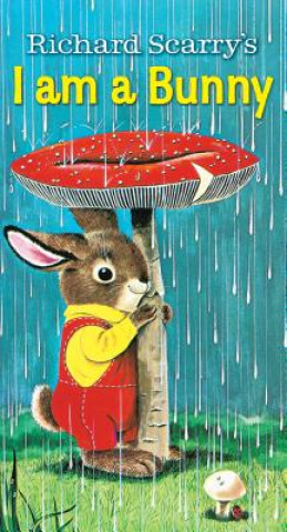 Book I Am a Bunny Ole Risom