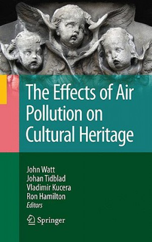 Knjiga Effects of Air Pollution on Cultural Heritage John Watt