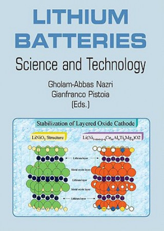 Livre Lithium Batteries Gholam-Abbas Nazri