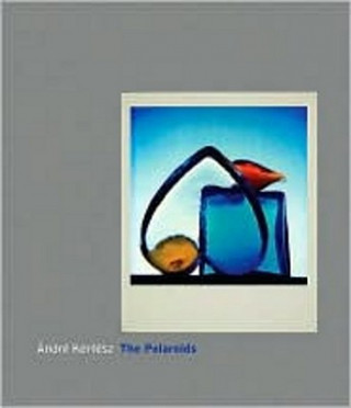 Kniha Andre Kertesz Andre Kertesz