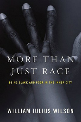 Könyv More Than Just Race William Wilson
