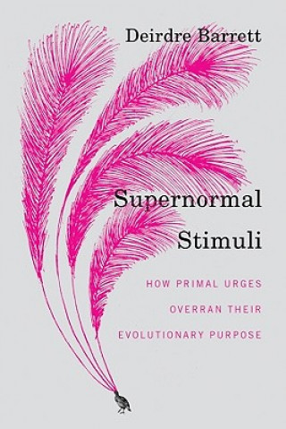 Könyv Supernormal Stimuli Deirdre Barrett