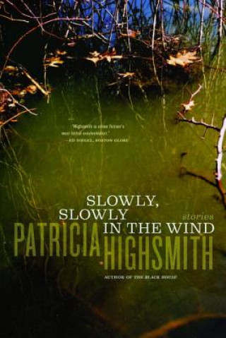 Könyv Slowly, Slowly in the Wind Patricia Highsmith