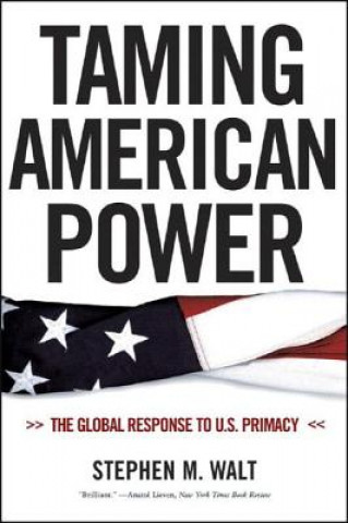 Kniha Taming American Power Stephen Walt
