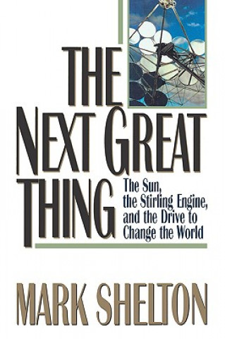 Book Next Great Thing Mark Shelton