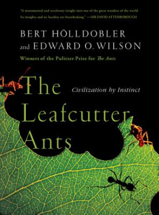 Könyv Leafcutter Ants Bert Holldobler
