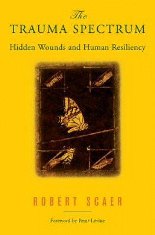 Boek Trauma Spectrum B Scaer