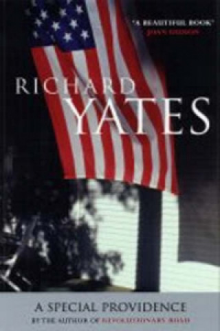 Könyv Special Providence Richard Yates