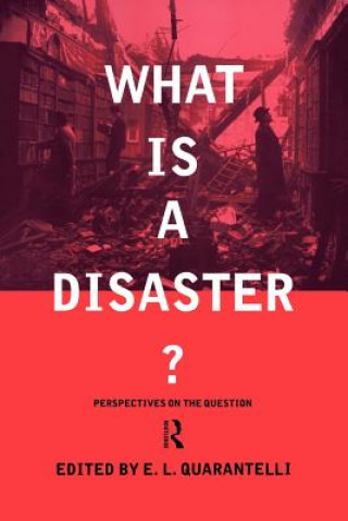 Livre What is a Disaster? E.L. Quarantelli