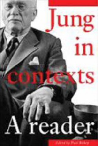 Buch Jung in Contexts Paul Bishop