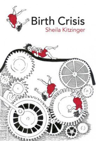 Könyv Birth Crisis Sheila Kitzinger