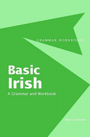 Kniha Basic Irish: A Grammar and Workbook Stenson