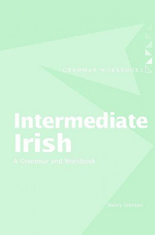 Kniha Intermediate Irish: A Grammar and Workbook Nancy Stenson