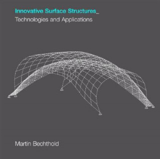 Kniha Innovative Surface Structures Bechthold