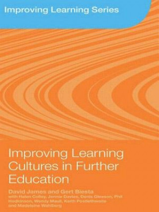 Kniha Improving Learning Cultures in Further Education David James