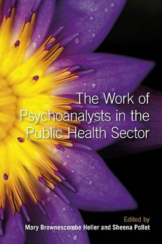 Książka Work of Psychoanalysts in the Public Health Sector Mary Brownescombe Heller