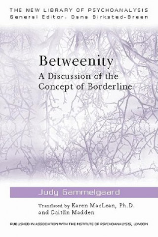 Buch Betweenity Judy Gammelgaard