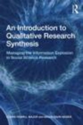 Kniha Introduction to Qualitative Research Synthesis Claire Howell Major