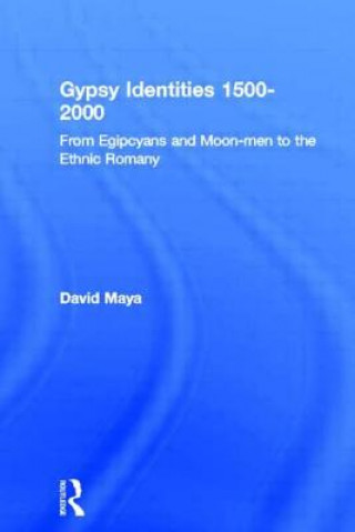 Könyv Gypsy Identities 1500-2000 David Mayall