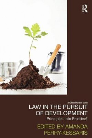 Kniha Law in the Pursuit of Development Amanda Perry Kessaris