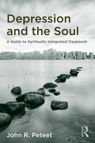 Book Depression and the Soul John R Peteet