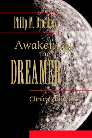 Book Awakening the Dreamer Philip M Bromberg