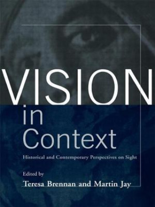 Boek Vision in Context Teresa Brennan