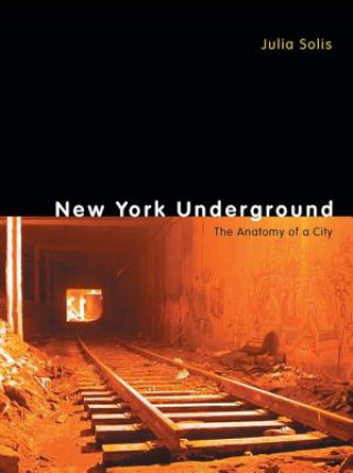 Knjiga New York Underground Julia Solis