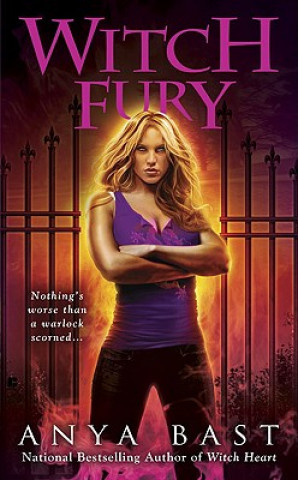 Könyv Witch Fury Anya Bast