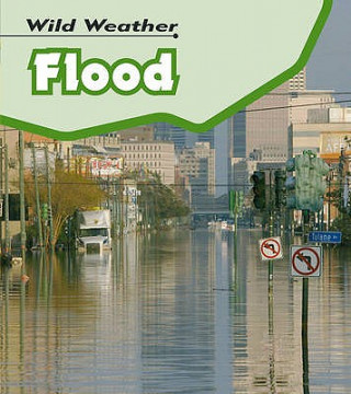 Knjiga Flood Catherine Chambers