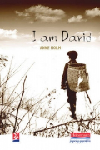 Carte I am David Anne Holm