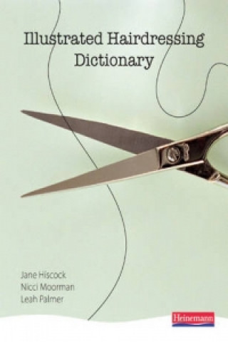 Livro Illustrated Hairdressing Dictionary John Hiscock