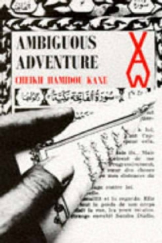 Carte Ambiguous Adventure Cheikh Kane