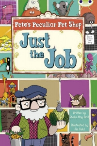 Livre Bug Club Guided Fiction Year Two Turquoise B Pete's Peculiar Pet Shop: Just the Job Sheila Bird