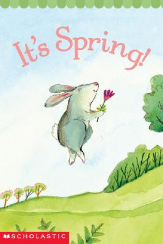 Könyv It's Spring! Pamela Chanko
