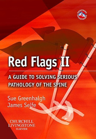 Könyv Red Flags II Sue Greenhalgh